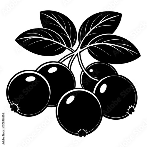 vector illustration of ripe cherries