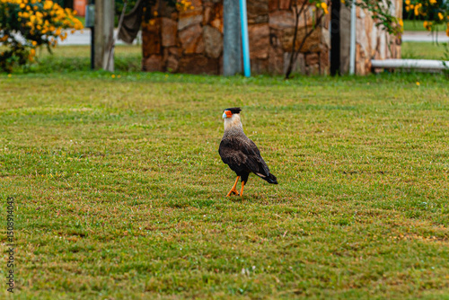 Extreme triathlete pushing limits through swim, bike, and run in a multi-day ultra endurance race