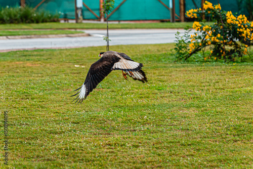 Extreme triathlete pushing limits through swim, bike, and run in a multi-day ultra endurance race
