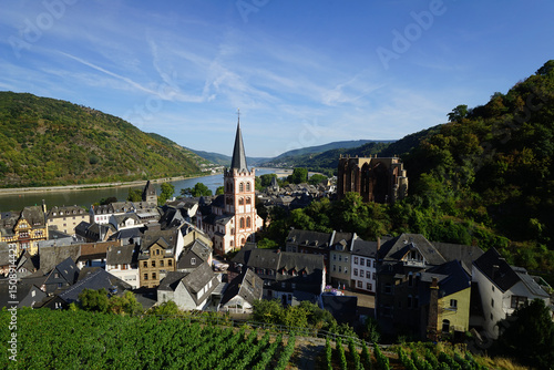 view of the village of the mountains Bacharach