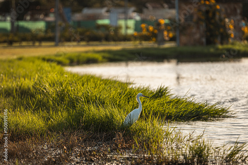 Extreme triathlete pushing limits through swim, bike, and run in a multi-day ultra endurance race