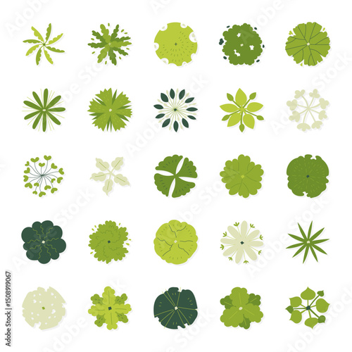 illustration set top view of tree isolated on white background.