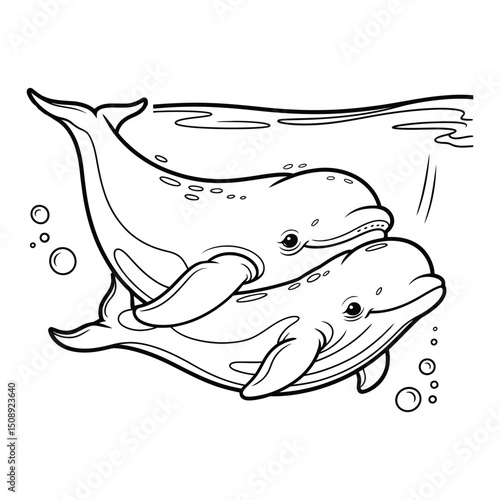 Beluga Whale with baby Coloring Page, Silhouette, Vector, Illustration, Outline, Logo, White Background.