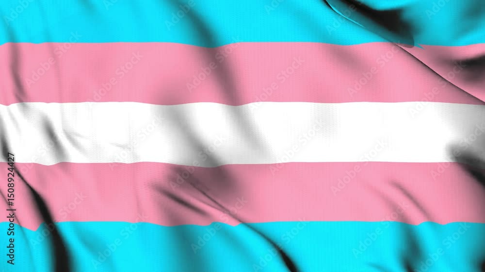 The transgender flag waves in the wind. The transgender flag waves in the wind.