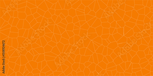 Light Network of Shattered Boundaries

