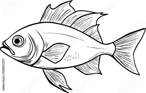 Colorful tropical fish vector illustration for marine wildlife and underwater nature.