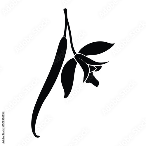 Vanilla Bean Orchid Silhouette, Vector, Illustration, Icon, Logo, White Background.