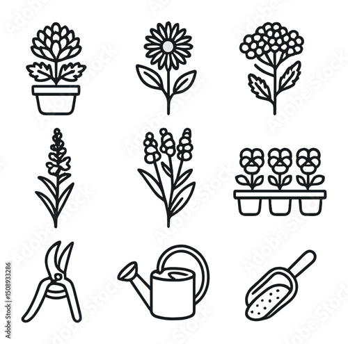 Autumn Bloom Care Icons. Outline icon set of autumn bloom care: chrysanthemum pot, aster flower, sedum cluster, goldenrod stem,
