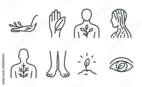 Minimalist nature and wellness icons for mindful living design use