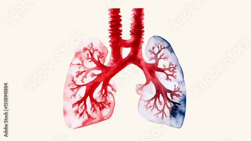 Watercolor Lungs with Red Trachea and Bronchial Tree, One Lung with Blue Tint