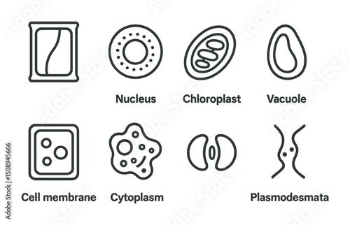 Cellular structure icons for educational and scientific design projects