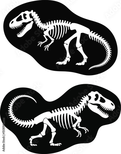 Dinosaur fossil outlines black and white vector illustration
