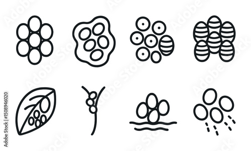 Outline set of insect eggs and group designs for educational materials and science projects
