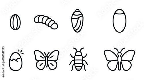 Life cycle of a butterfly illustration showing transformation stages