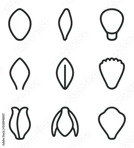 Flower Anatomy Icons. Outline icon set of flower anatomy petals: outer petal, inner petal, petal base, petal tip, petal vein,