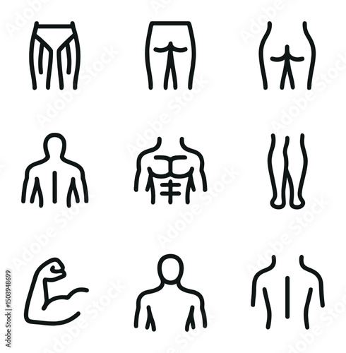 Muscle Group Icons. Outline icon set of muscle groups targeted: quadriceps, hamstrings, glutes, lats, core, calves, forearms,