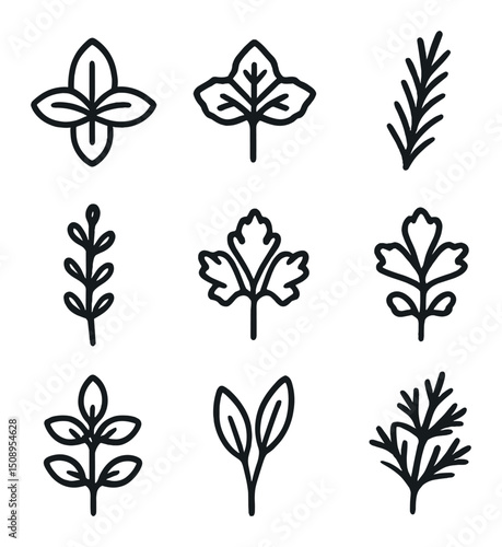 Herb Icon Grid. Outline icon set of herbs: basil, mint, rosemary, thyme, parsley, cilantro, oregano, sage, dill. Line icons .