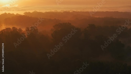 Wallpaper Mural Aerial View of Sunrise and Morning Mist Over a Lowland Forest Landscape Torontodigital.ca