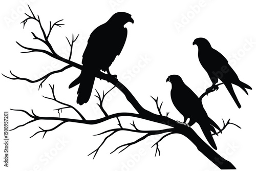 Black silhouetted birds of prey perched on bare tree branches illustration