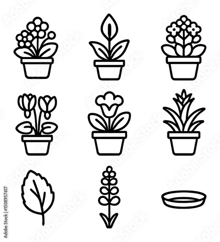 Indoor Plant Icons. Outline icon set of indoor potted blooms: African violet, peace lily, kalanchoe, cyclamen, gloxinia, bromeliad