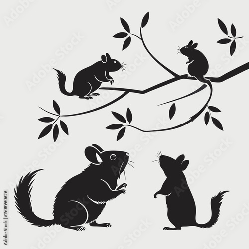 Chinchilla silhouette set on branch vector illustration for graphic design projects
