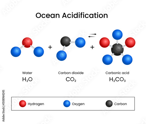 Ocean Acidification Carbon Dioxide and Water Reaction