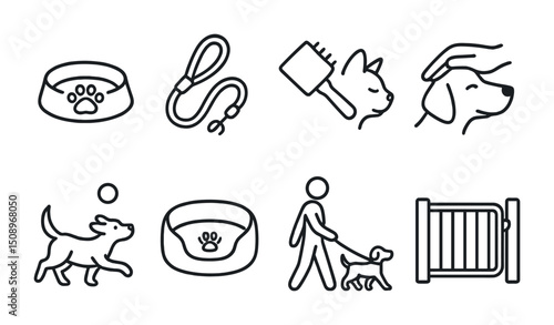 Pet care essentials: walking, grooming, and playtime for dogs and cats