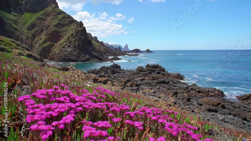 Coastal Beauty of Madeira Island

