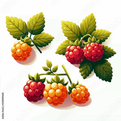 Illustration of vibrant raspberries some red some yellow alongside lush green leaves on branches