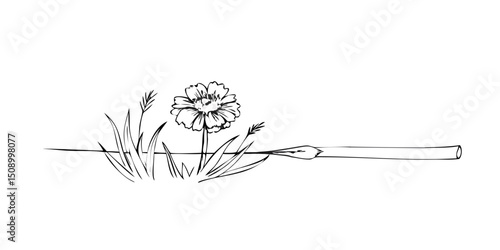 Rustic pen drawing of a flower with grass and a nib  