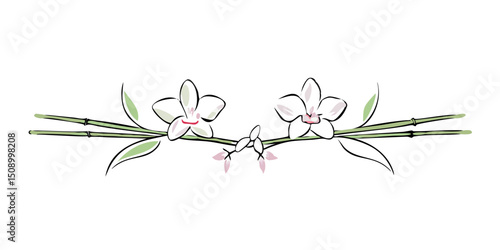 Elegant bamboo divider with orchid flowers in minimal style  