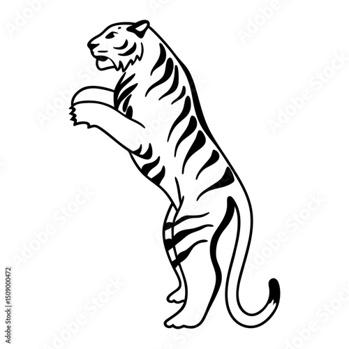 tiger vector illustration