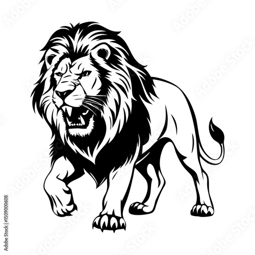 lion vector illustration