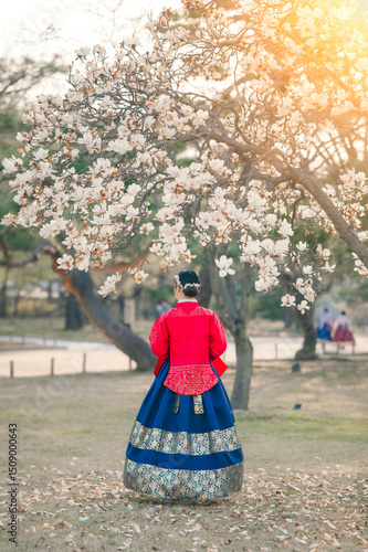 Young woman wearing hanbok at Gyeongbokgung Palace
Beautiful hanbok under the magnolia tree