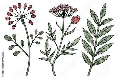Adobe Illustrator Artwork