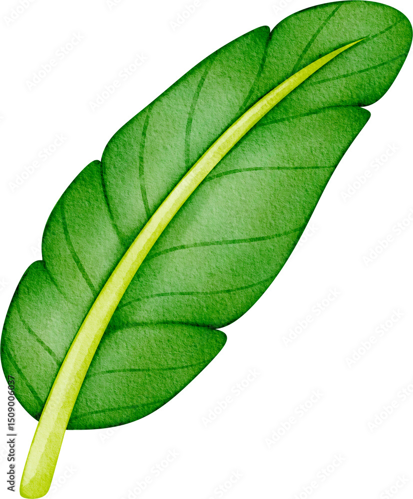 Obraz premium watercolor banana leaf