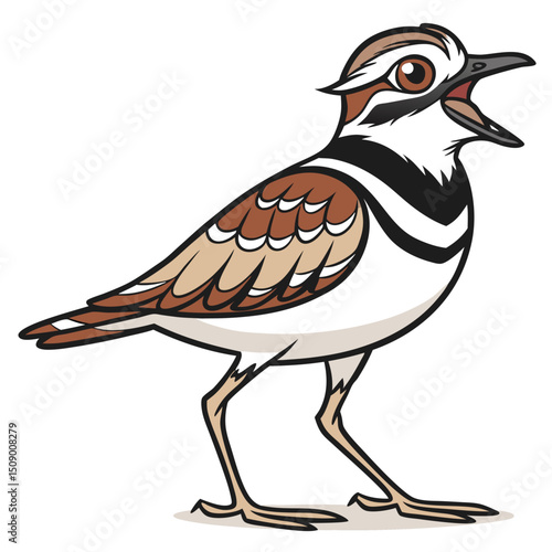 Cartoon killdeer bird stands and squawks with its mouth wide open, a brown and tan design