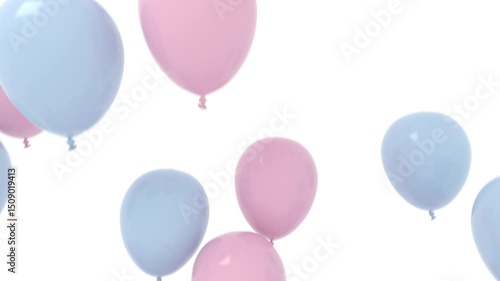 pink and blue balloons isolated on white rising up for a gender reveal of baby