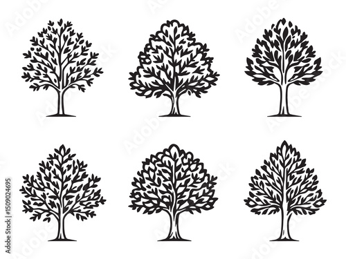 Ash Tree Simple Line Art Clear Vision