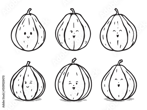 Bitter Melon Line Art Illustration