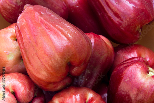 Rose apple fruit (syzygium jambos) isolated on white background. Rose apples have a variety of health benefits, like improving heart health, promoting immunity, controlling diabetes, and improving dig
