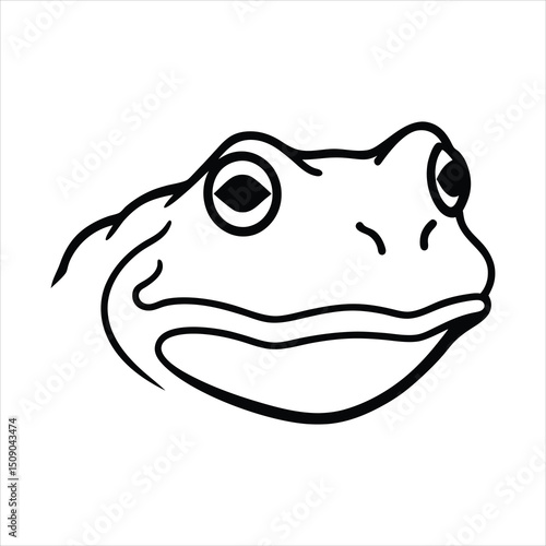 Toad Head  Detailed Animal Head Vector Illustration