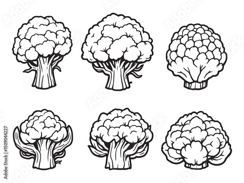 Cauliflower Vegetable Line Illustration