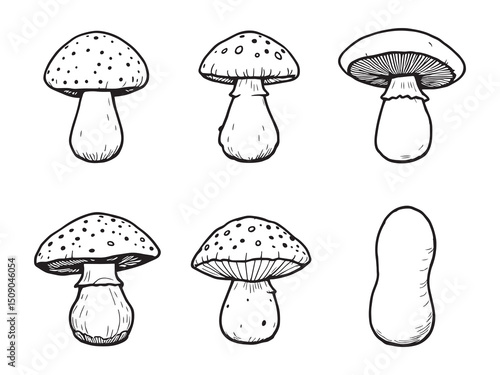 Ceramic Mushroom Minimal Line Art