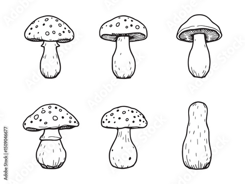 Ceramic Mushroom Minimalist Line Drawing