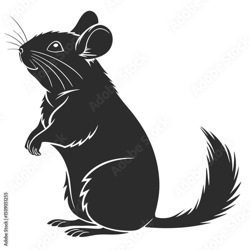 Chinchilla vector illustration standing upright cute rodent silhouette animal art design