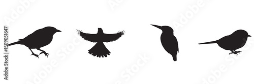 Birds in Flight Silhouette . Minimalist Bird Silhouette set . on white background .