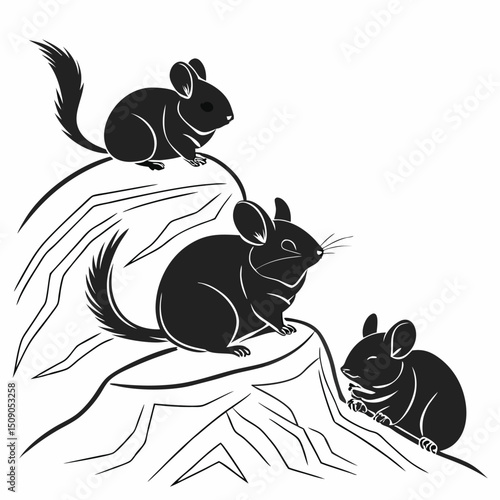 Graphic illustration of three chinchillas on abstract rocks isolated on white