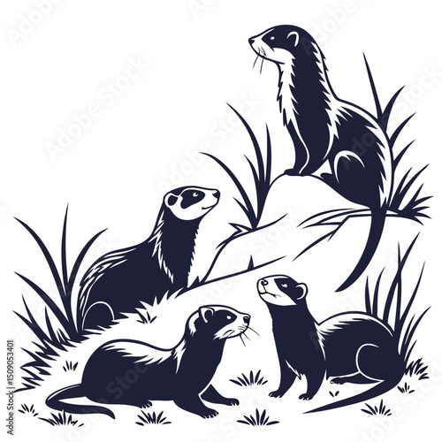 Group of ferrets in a field black and white vector illustration