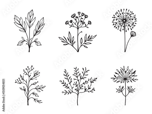 Simple Line Drawing of Dandelion Greens